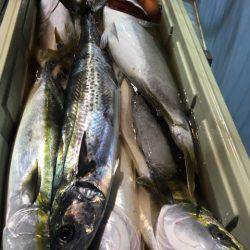 第二八坂丸 釣果