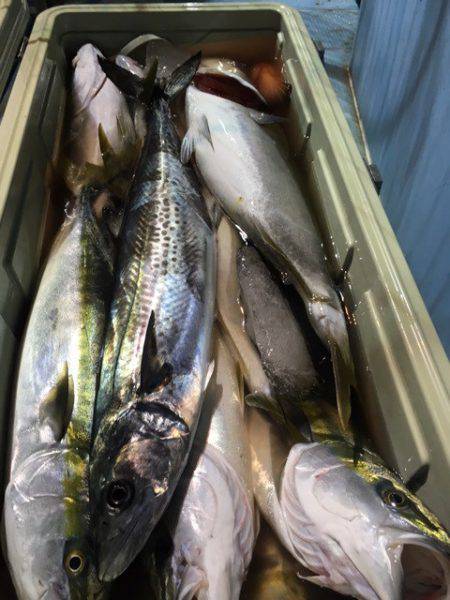 第二八坂丸 釣果