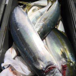 第二八坂丸 釣果