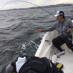 「LaGooN」蒼陽丸 日和号 釣果