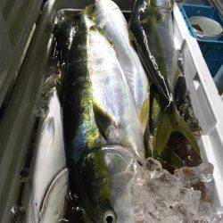 第二八坂丸 釣果