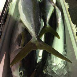 第二八坂丸 釣果