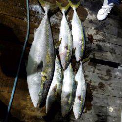 エムズジャーク(M’s JERK) 釣果