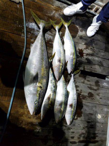 エムズジャーク（M's JERK…