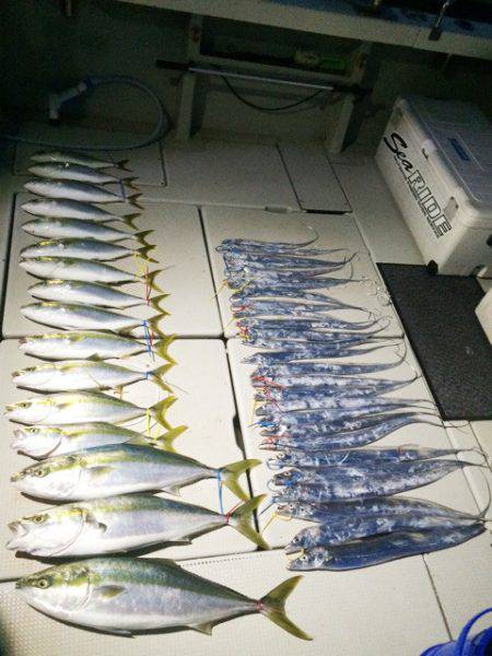 SeaRide(シーライド) 釣果