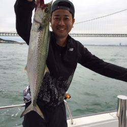 ビッグファイター 釣果