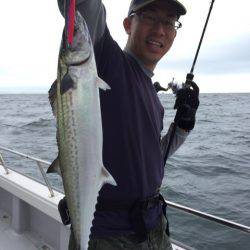 ビッグファイター 釣果