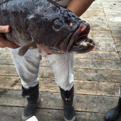 釣り堀水宝 釣果