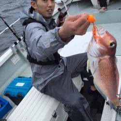 さくら丸 釣果