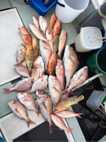 さくら丸 釣果