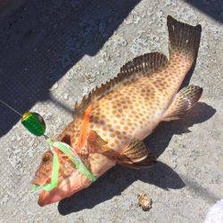 第二 海洋丸 釣果