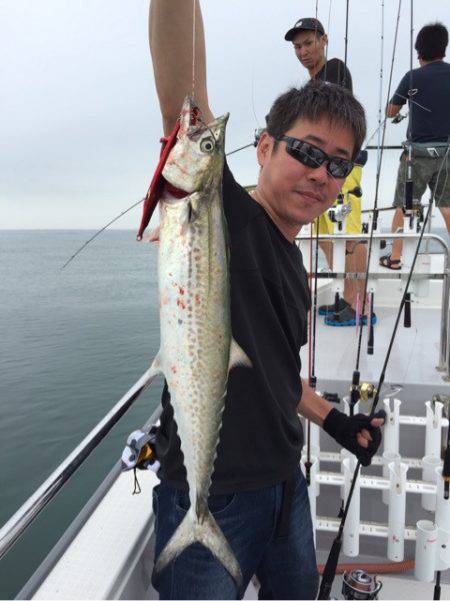 ビッグファイター 釣果