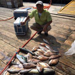 釣り堀水宝 釣果