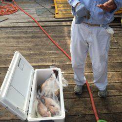 釣り堀水宝 釣果