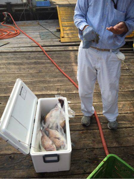 釣り堀水宝 釣果