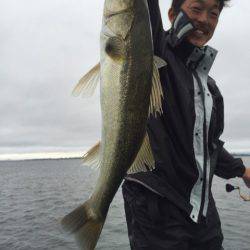 アマテラス 釣果