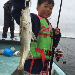 アマテラス 釣果