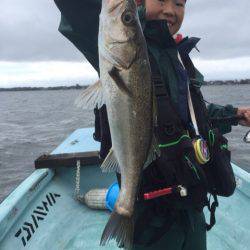 アマテラス 釣果