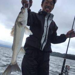 アマテラス 釣果