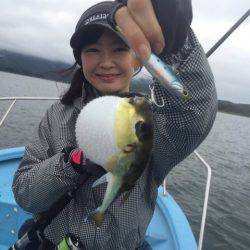 アマテラス 釣果