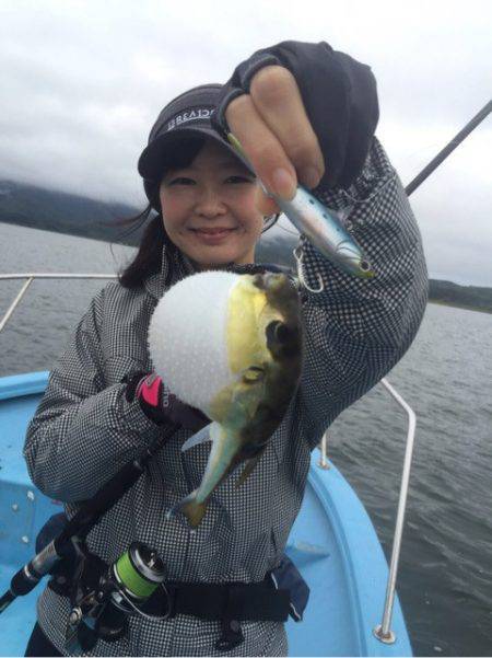 アマテラス 釣果