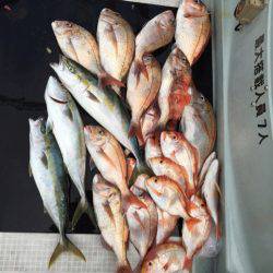 さくら丸 釣果