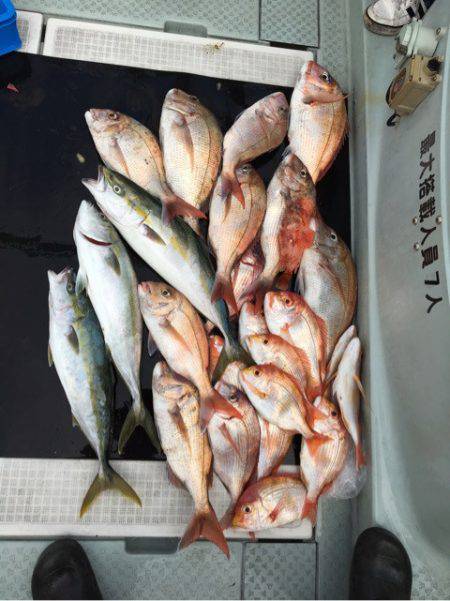 さくら丸 釣果