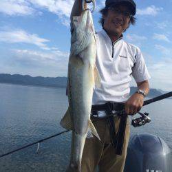 アマテラス 釣果