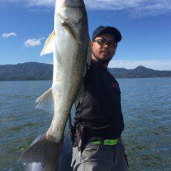 アマテラス 釣果