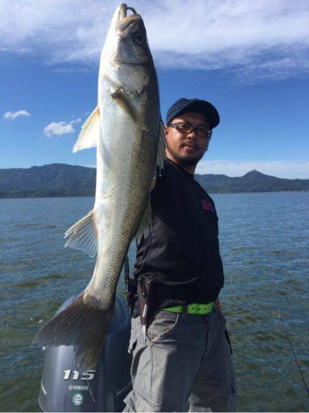 アマテラス 釣果