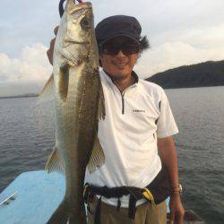 アマテラス 釣果