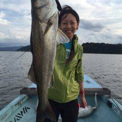 アマテラス 釣果