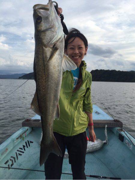 アマテラス 釣果