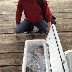 釣り堀水宝 釣果