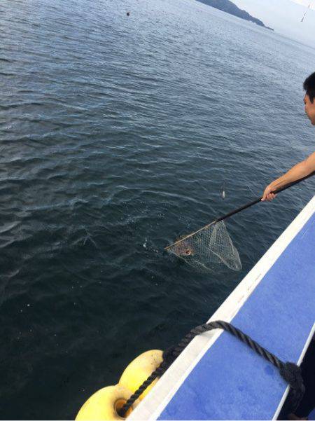 真正丸 釣果