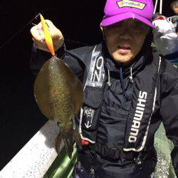 ヤザワ渡船 釣果