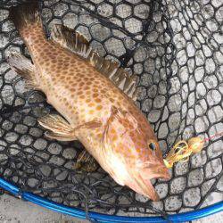 第二 海洋丸 釣果