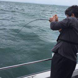 ビッグファイター 釣果