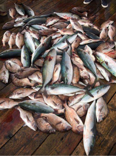 釣り堀水宝 釣果