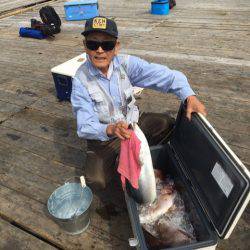 釣り堀水宝 釣果