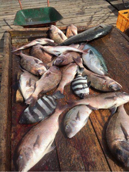 釣り堀水宝 釣果