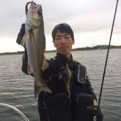 アマテラス 釣果