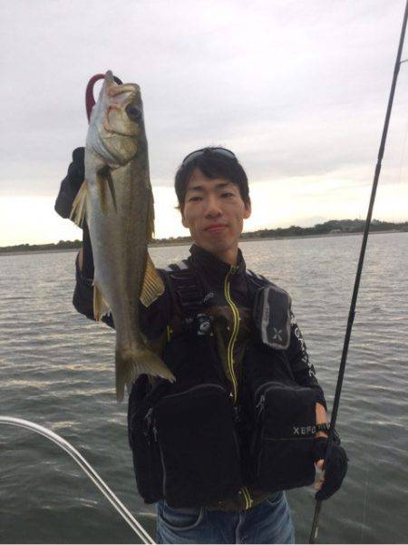 アマテラス 釣果