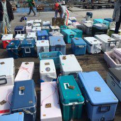 釣り堀水宝 釣果