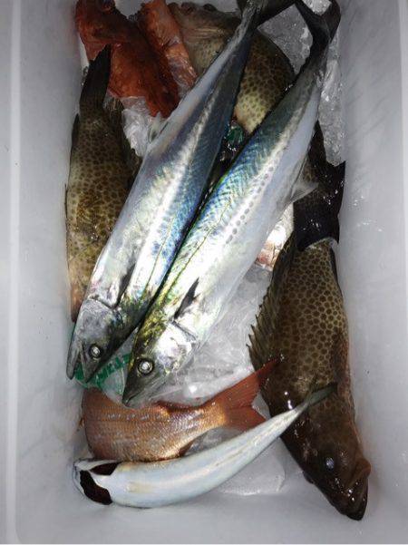 龍神丸(鹿児島) 釣果