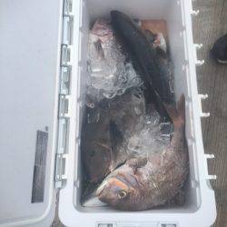 釣り堀水宝 釣果