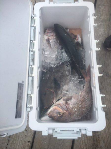 釣り堀水宝 釣果