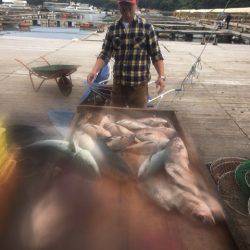 釣り堀水宝 釣果