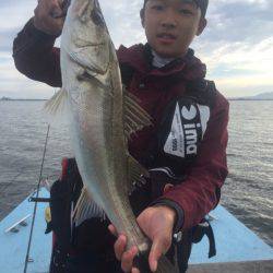 アマテラス 釣果