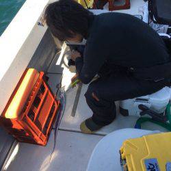 Ｖ−７ West 釣果